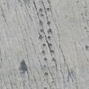 ウユニ塩湖|天空の鏡|ボリビア‘・ウユニ塩湖旅行@ブループラネットツアー