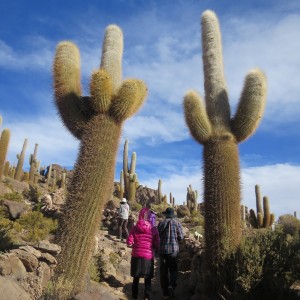 ウユニ塩湖|天空の鏡|ボリビア‘・ウユニ塩湖旅行@ブループラネットツアー