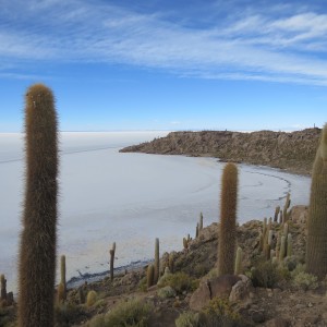 インカハシ島|ウユニ塩湖|天空の鏡|ボリビア‘・ウユニ塩湖旅行@ブループラネットツアー