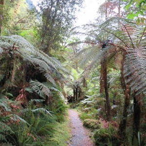 ミルフォードトラック|ニュージーランド旅行@ブループラネットツアー