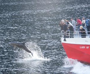 ミルフォードトラック|ニュージーランド旅行@ブループラネットツアー
