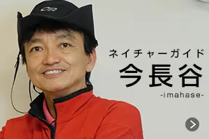ネイチャーガイド　今長谷