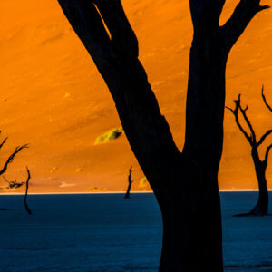 デッドフレイ|ナミビア|ナミブ砂漠|南部アフリカ旅行