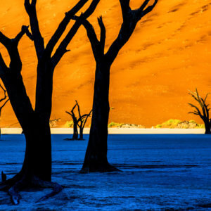 デッドフレイ|ナミビア|ナミブ砂漠|南部アフリカ旅行