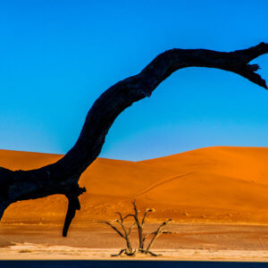 デッドフレイ|ナミビア|ナミブ砂漠|南部アフリカ旅行