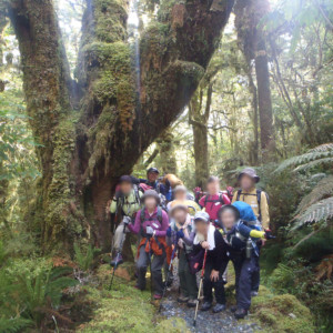 ミルフォードトラック|ニュージーランド旅行@ブループラネットツアー