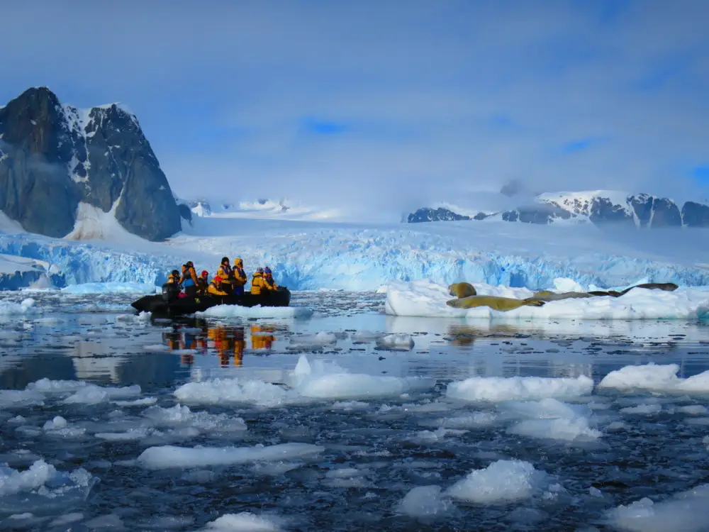 ゾディアックボートに乗る人々が氷山とアザラシを間近で観察する南極の風景