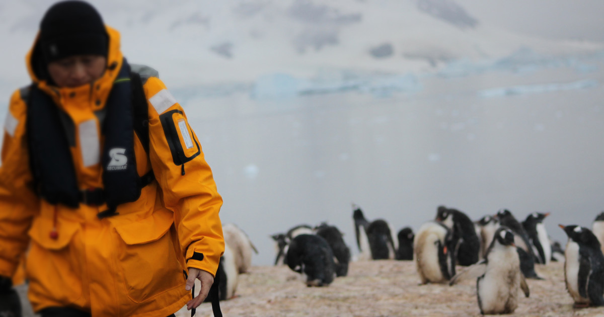 なぜ人はわざわざ南極を目指す？念願だった南極旅行 体験記