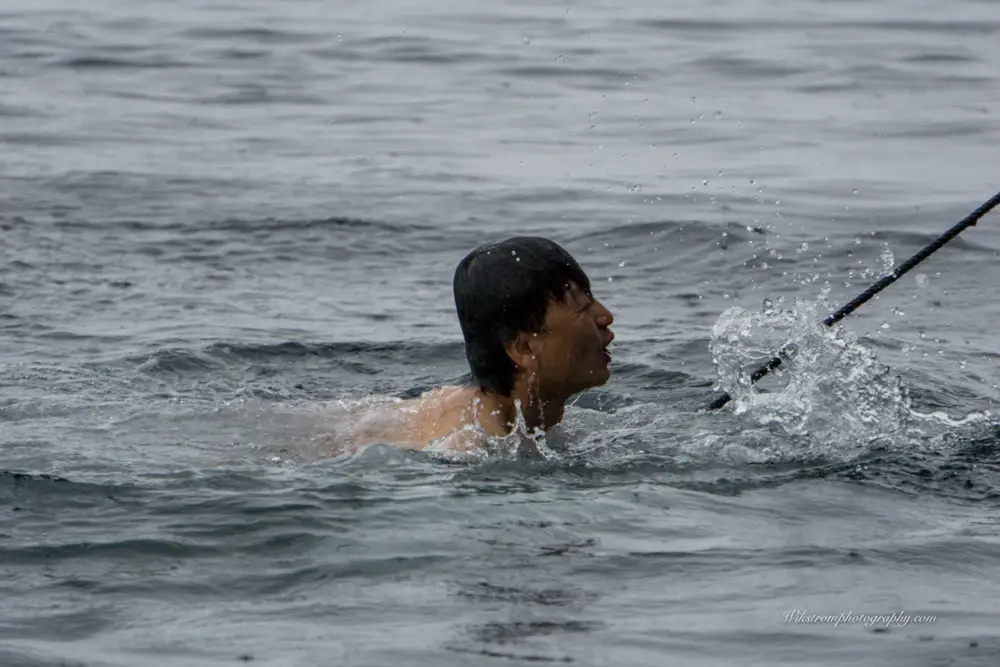 南極の冷たい海でポーラープランジを楽しむ男性の横顔