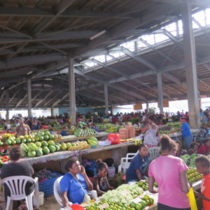 ソロモンの市場