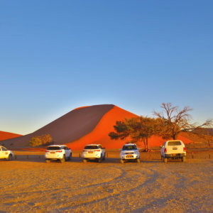 ナミブ砂漠｜ドューン45｜南部アフリカ旅行＠ブループラネットツアー