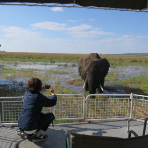 チョベ国立公園｜南部アフリカ旅行＠ブループラネットツアー