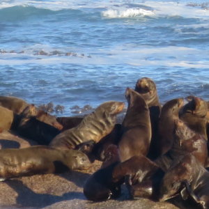 ドイカー島｜南部アフリカ旅行＠ブループラネットツアー