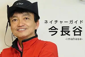 今長谷紹介