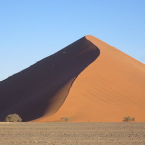 ナミビアのナミブ砂漠の魅力！ライブカメラで動物を見れる！？