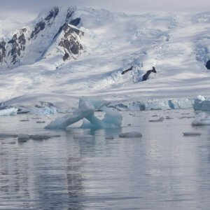 南極クルーズ船｜南極・南極上陸クルーズ旅行＠ブループラネットツアー
