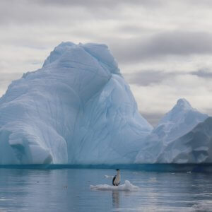 南極クルーズ船｜南極・南極上陸クルーズ旅行＠ブループラネットツアー