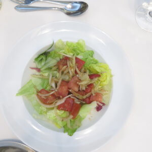 南極クルーズ船｜南極・南極上陸クルーズ旅行＠ブループラネットツアー