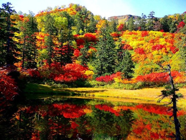 紅葉の大雪山