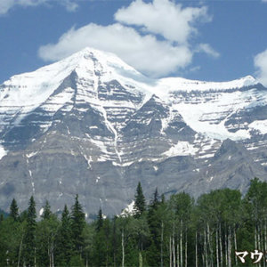 花のカナディアンロッキー充実の五大国立公園ハイキング 9日間