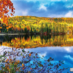 紅葉の東カナダ メープル街道ハイキング＆ナイアガラの滝 8日間