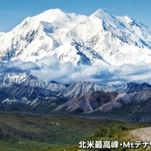 どっぷりアラスカ周遊 大自然満喫ハイキングとデナリ国立公園 8日間