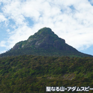 スリランカ アダムスピーク(2238m)登頂と世界遺産を巡る旅 7日間