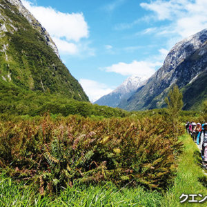 「世界一美しい散歩道」ミルフォードトラックとマウントクックハイキング 10日間