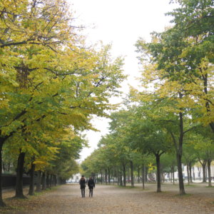 写真で見るパリ街歩き観光の魅力