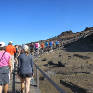 エクアドル|ガラパゴスクルーズ旅行@ブループラネットツアー