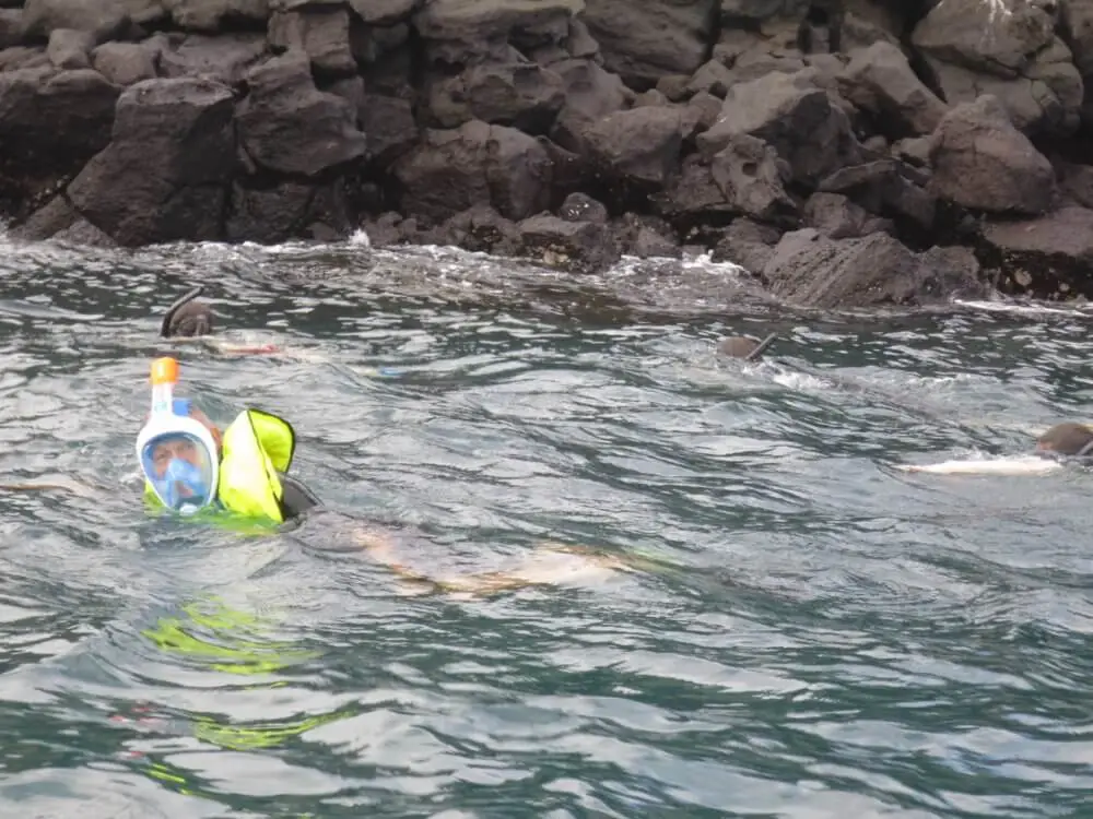 ガラパゴス諸島の海中でシュノーケリングを楽しむ人
