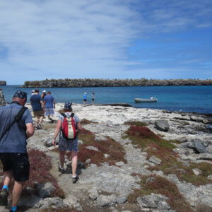 エクアドル｜ガラパゴスクルーズ旅行＠ブループラネットツアー