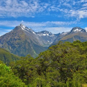 ニュージーランド旅行@ブループラネットツアー