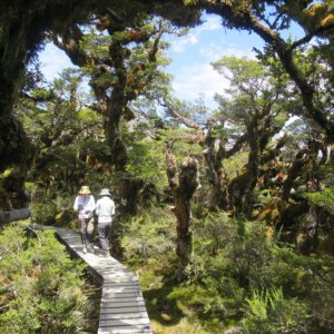 ニュージーランド旅行@ブループラネットツアー