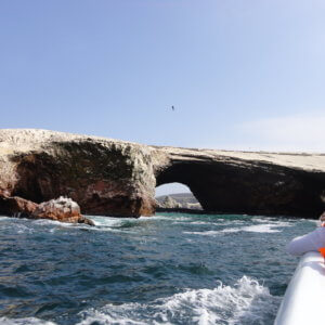 バジェスタス諸島｜ナスカの地上絵｜マチュピチュ遺跡｜ペルー・マチュピチュとナスカ旅行＠ブループラネットツアー