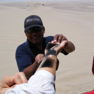 ナスカの地上絵｜マチュピチュ遺跡｜ペルー・マチュピチュとナスカ旅行＠ブループラネットツアー