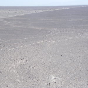 ナスカの地上絵｜マチュピチュ遺跡｜ペルー・マチュピチュとナスカ旅行＠ブループラネットツアー