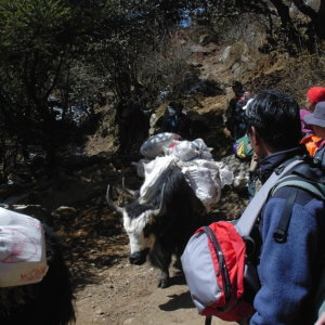 ネパール・エベレスト街道トレッキング旅行@ブループラネットツアー