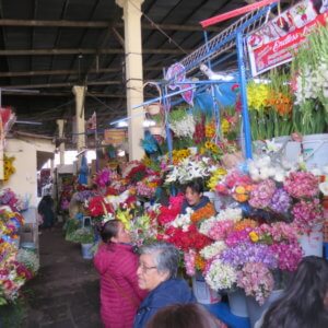 クスコ|マチュピチュ遺跡|ペルー・マチュピチュとナスカ旅行@ブループラネットツアー