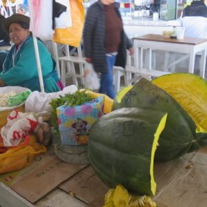 クスコ|マチュピチュ遺跡|ペルー・マチュピチュとナスカ旅行@ブループラネットツアー