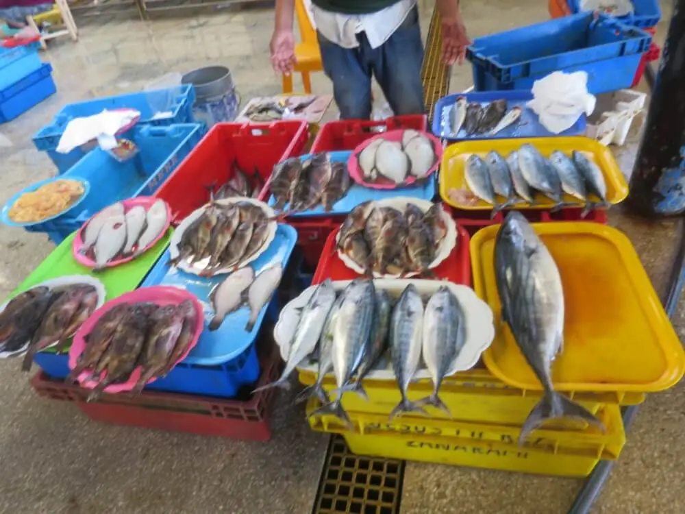 魚市場に並べられた新鮮な様々な種類の魚