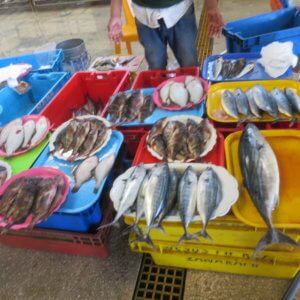 ナスカの地上絵｜マチュピチュ遺跡｜ペルー・マチュピチュとナスカ旅行＠ブループラネットツアー