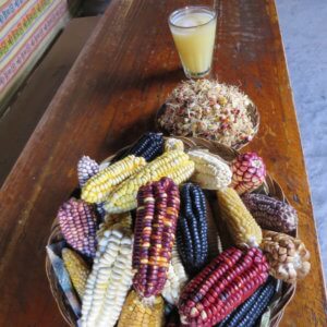 マチュピチュ遺跡|ペルー・マチュピチュとナスカ旅行@ブループラネットツアー