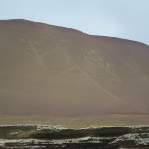 バジェスタス諸島｜ナスカの地上絵｜マチュピチュ遺跡｜ペルー・マチュピチュとナスカ旅行＠ブループラネットツアー