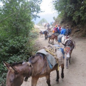 ネパール・エベレスト街道トレッキング旅行@ブループラネットツアー