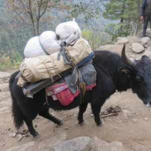 ネパール・エベレスト街道トレッキング旅行@ブループラネットツアー