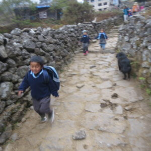 ネパール・エベレスト街道トレッキング旅行@ブループラネットツアー