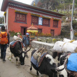ネパール・エベレスト街道トレッキング旅行@ブループラネットツアー