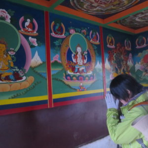 ネパール・エベレスト街道トレッキング旅行@ブループラネットツアー