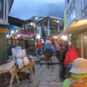 ネパール・エベレスト街道トレッキング旅行＠ブループラネットツアー